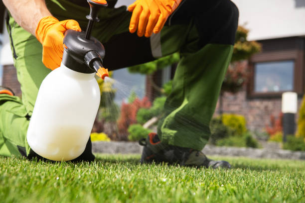 Pest Control Cost in South Holland, IL