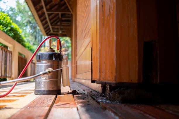 Best Local Pest Control Services  in South Holland, IL