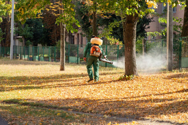 Professional Pest Control in South Holland, IL