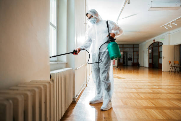 Best Local Pest Control Services  in South Holland, IL