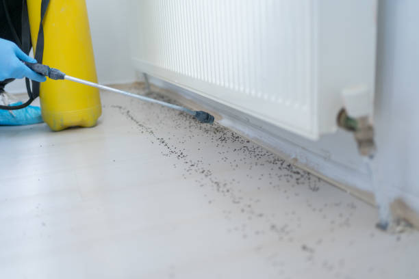 Pest Prevention Services in South Holland, IL