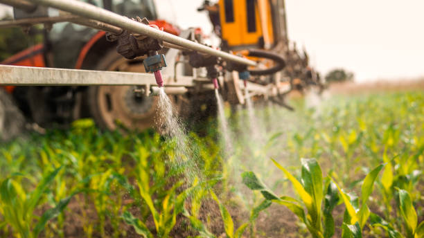 Best Pest Inspection Near Me  in South Holland, IL